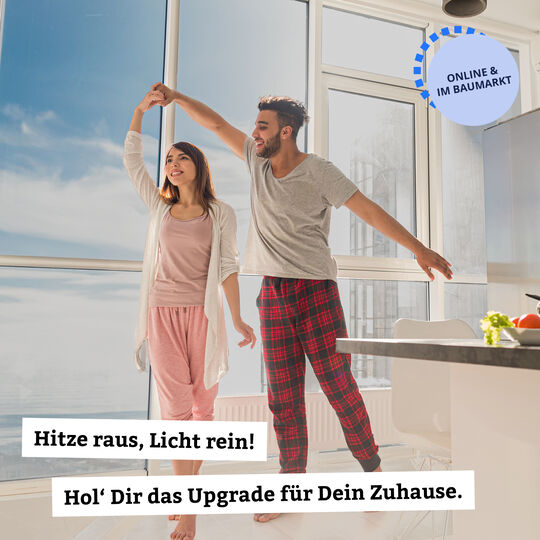 Fensterfolie Sonnenschutzfolie metallisiert image number null